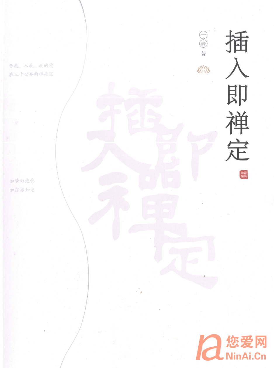 《插入即禅定》pdf